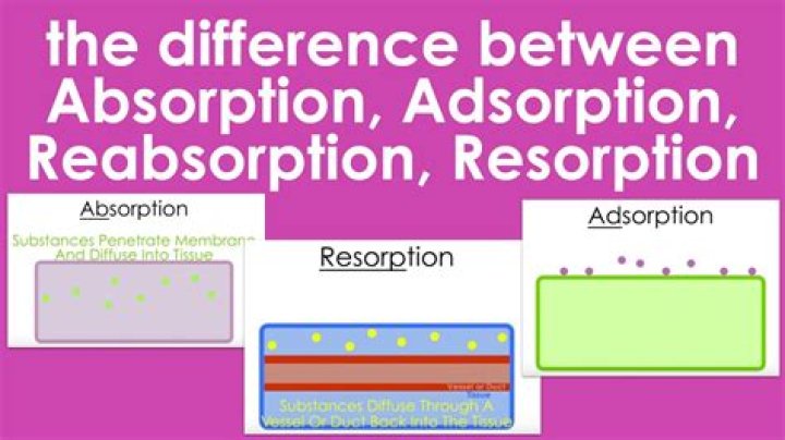 Are absorption and resorption?
