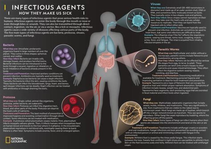 Are disease-causing agents such as bacteria and viruses?
