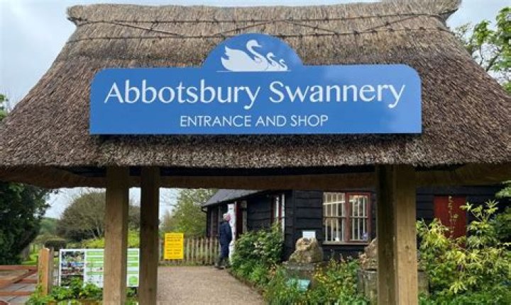 Are dogs allowed at abbotsbury swannery?