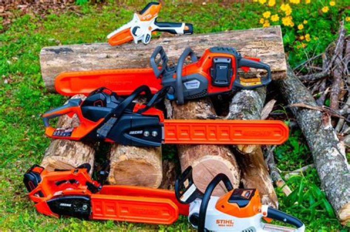 Are echo saws any good?