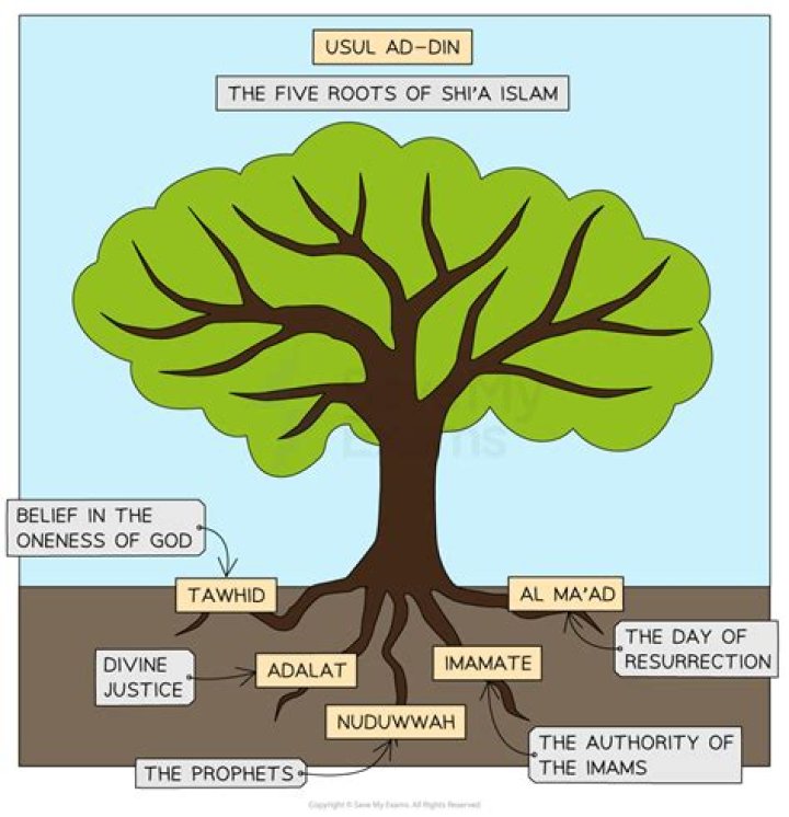 Are ibadis sunni or shia?