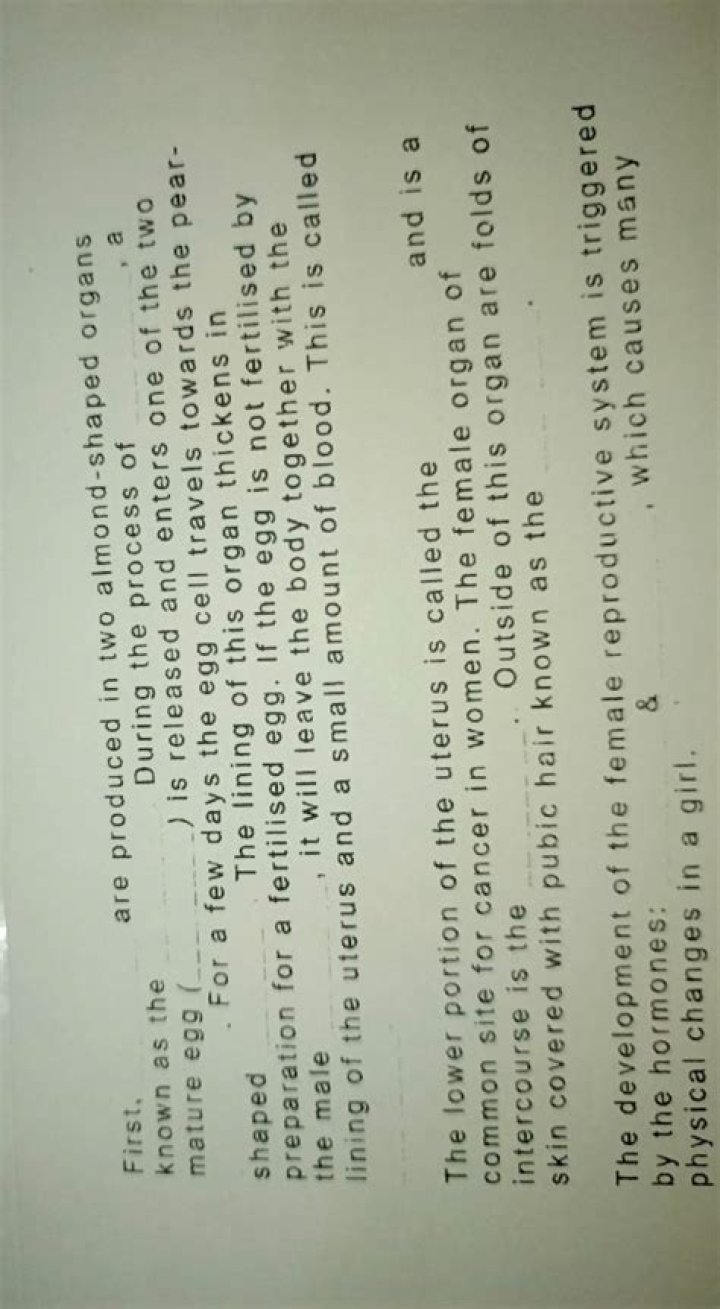 Are produced in two almond-shaped organs known as the?