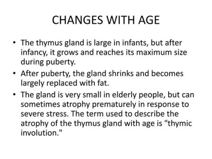 At what age does thymus involute?