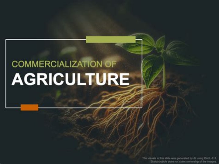 By commercialization of agriculture?