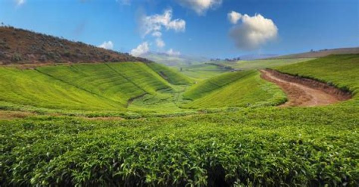 Can foreigners buy land in rwanda?