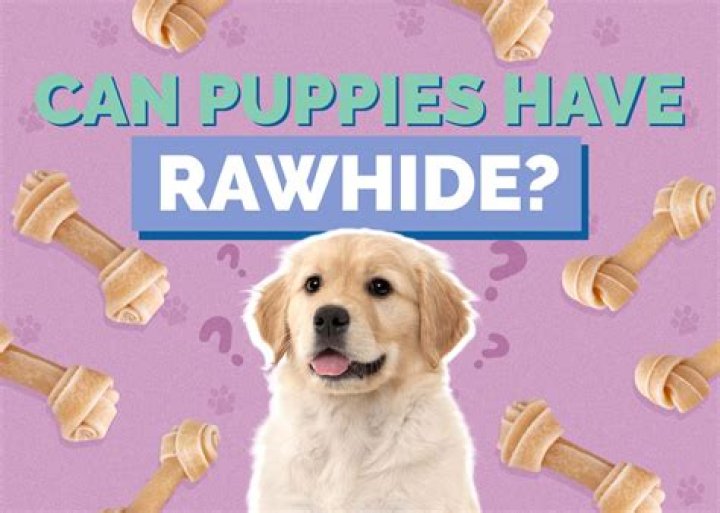 Can puppies have rawhide?