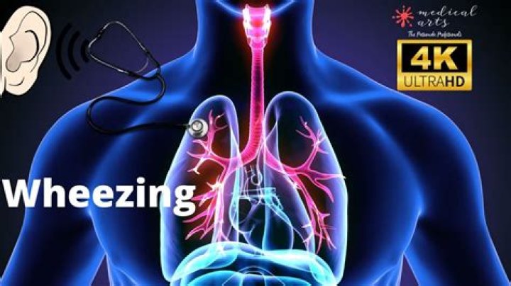 Can wheezing be inspiratory?