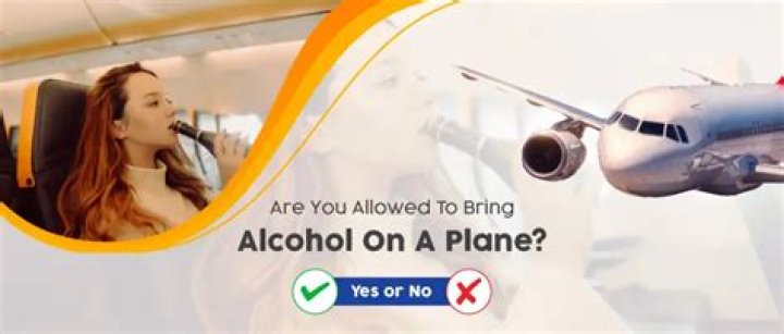 Can you bring single shots on a plane?