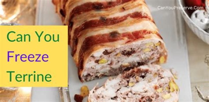 Can you freeze terrine?