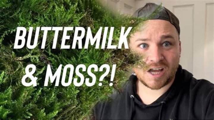 Can you grow moss with buttermilk?