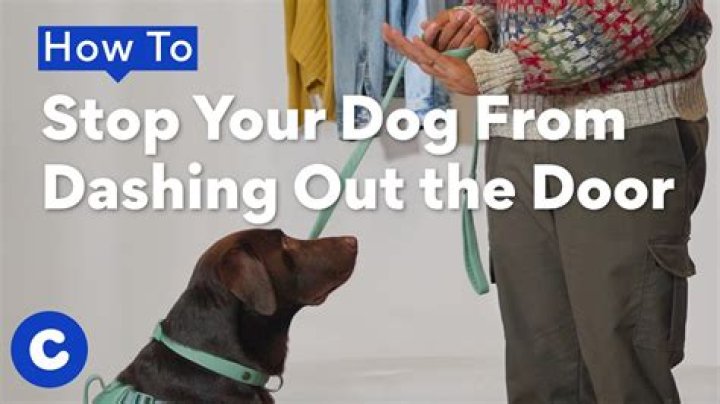 Can you stop door dashing whenever?