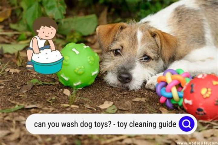 Can you wash dog toys?