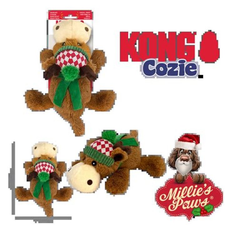 Can you wash kong cozie?