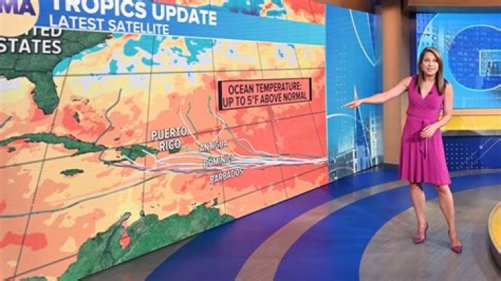 Coming in Like a Heat Wave! ‘GMA’ Meteorologist Ginger Zee’s Sexiest Bikini Pictures Are Sizzling