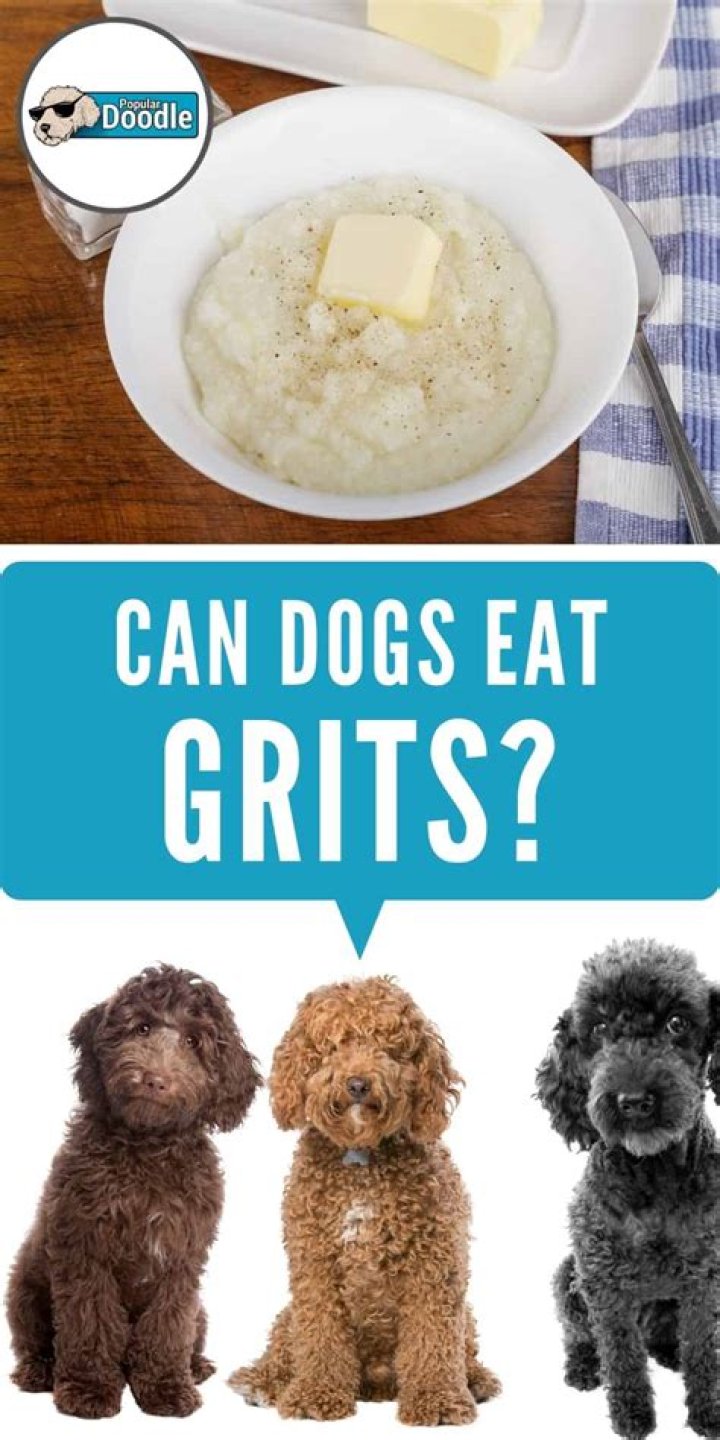 Could dogs eat grits?