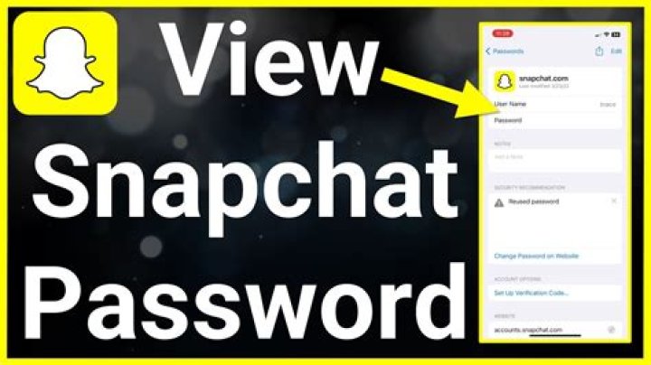 Could not validate password snapchat?