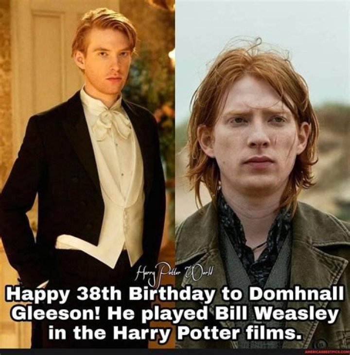 Did Brendan Gleeson star in Harry Potter? – Celebrity.fm – #1 Official Stars, Business & People Network, Wiki, Success story, Biography & Quotes