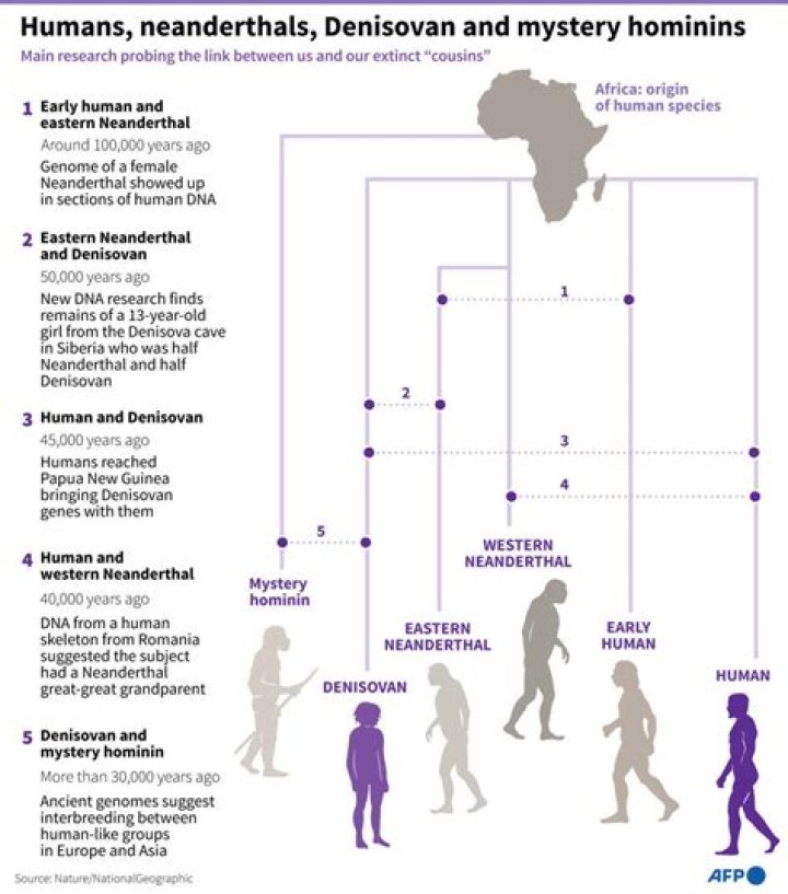 Did modern humans and neanderthals coexist?