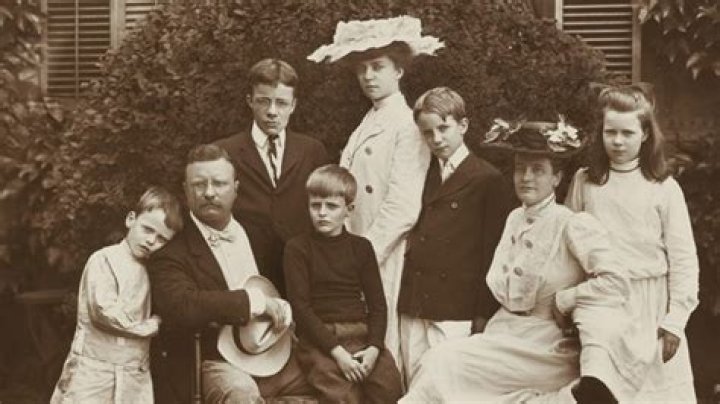 Did theodore roosevelt marry his cousin?