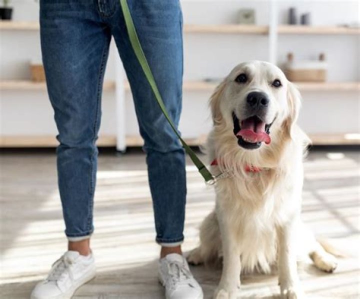 Do I have to tell my landlord I have an emotional support animal?