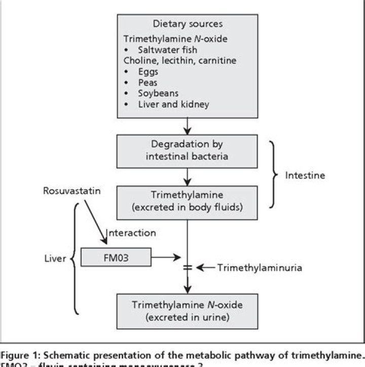 Do i have trimethylaminuria?