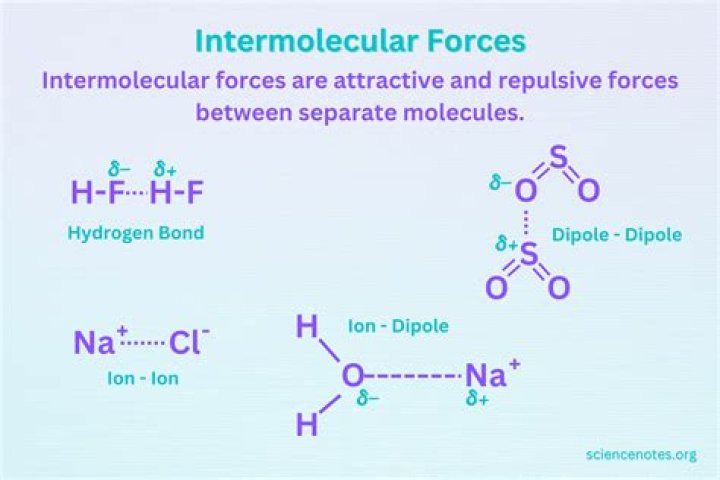 Do intermolecular forces increase with size?