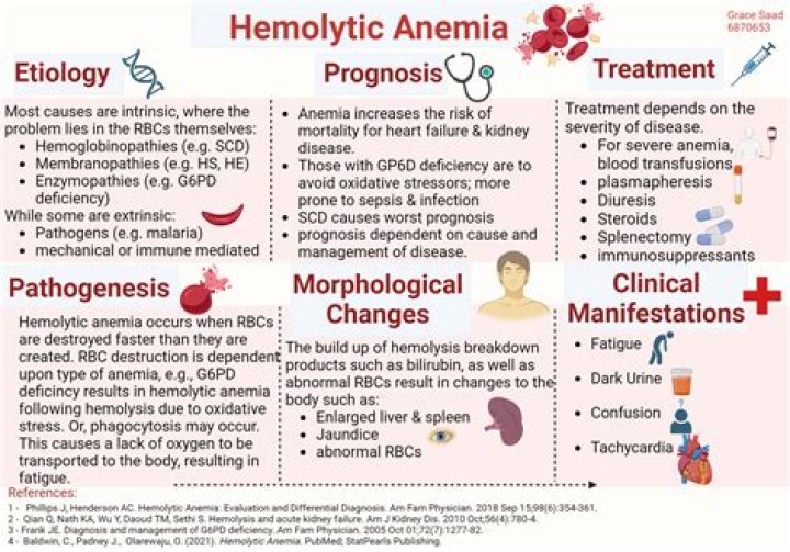 Does anemia cause ecchymosis?