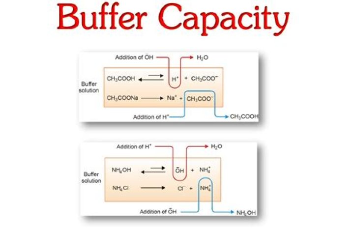 Does dilution affect buffer capacity?