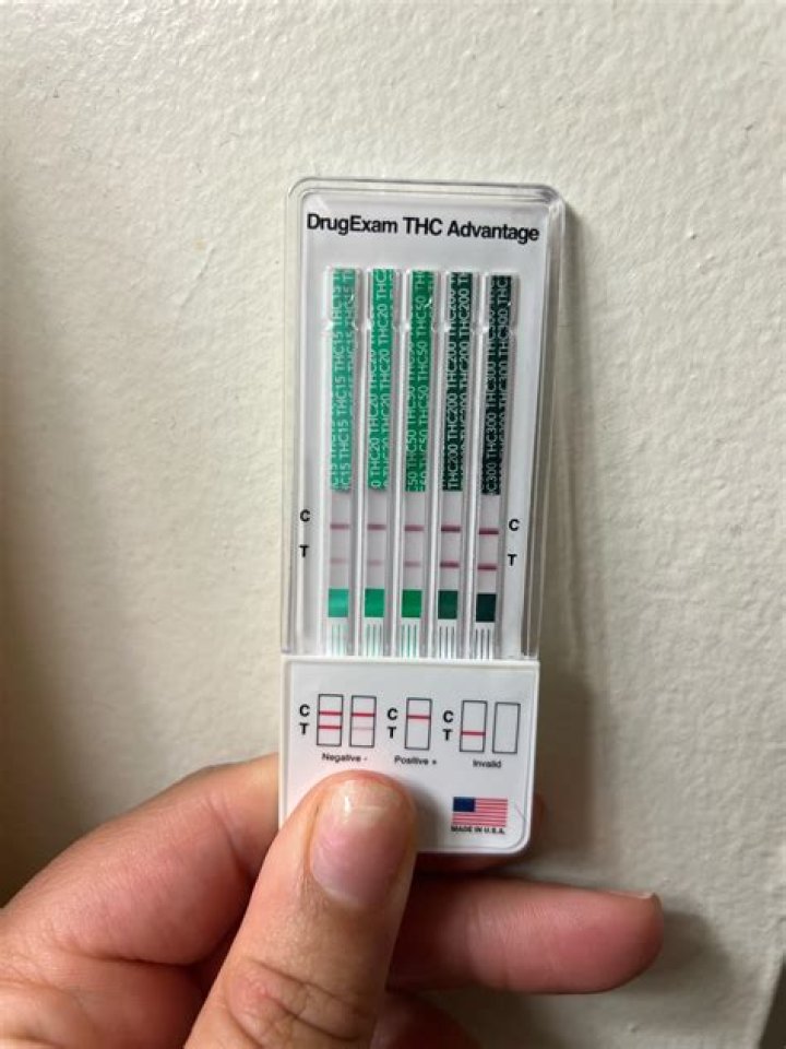 Does halliburton do drug test?