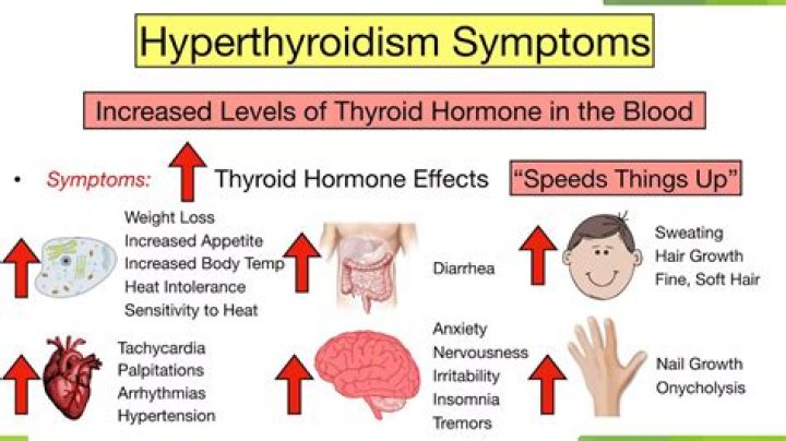 Does hyperthyroidism affect cholesterol?