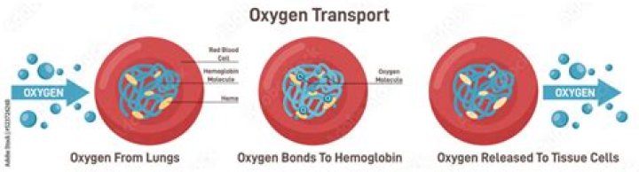 Does ilmenite have oxygen?