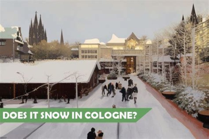 Does it snow in logrono?