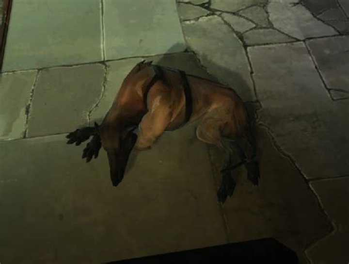 Does killing wolfhounds count dishonored?