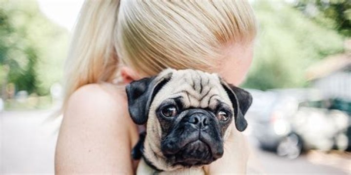 Does my dog like being hugged?