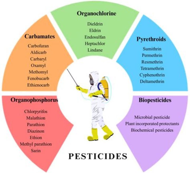Does pesticides get inside fruit?