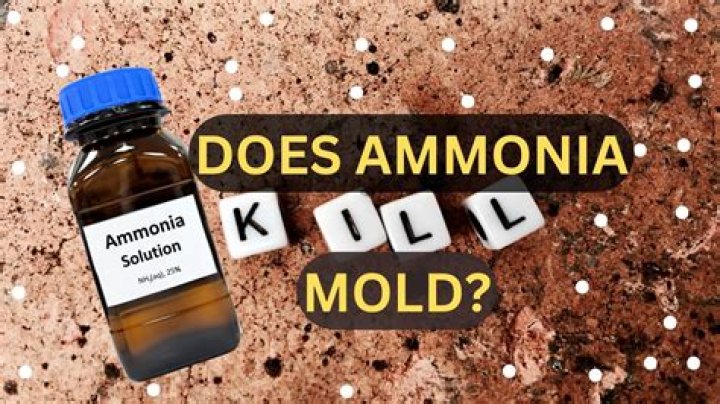 Does quaternary ammonia kill mold?