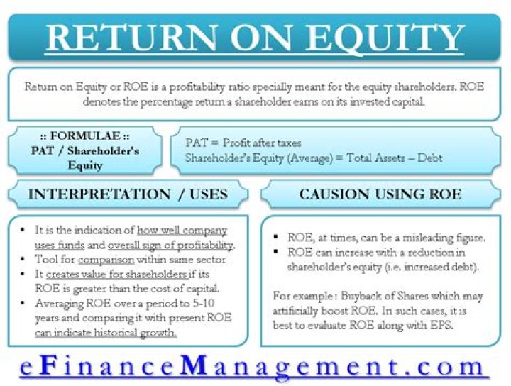 Does return on equity mean?