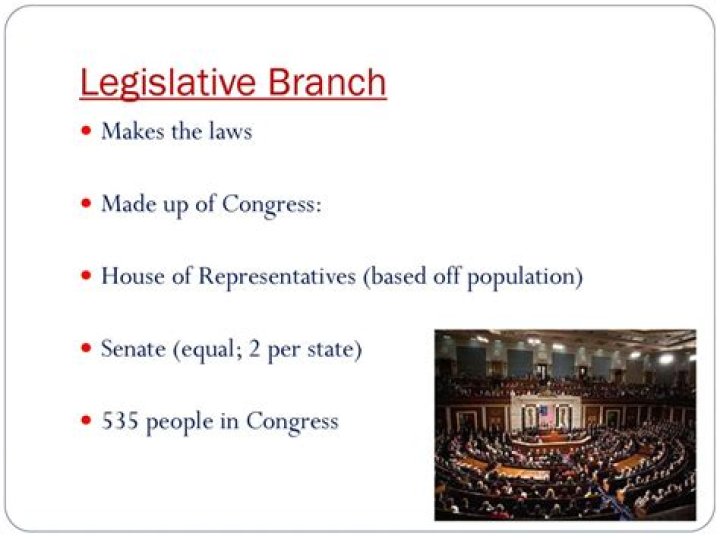 Does the legislative branch make laws?