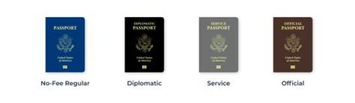 Does type p mean on a passport?