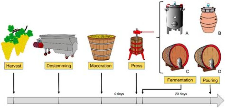 During the fermentation of molasses the optimum ph) maintained is?