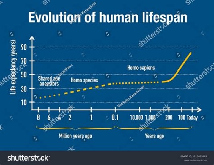 During the twentieth century the average life span?