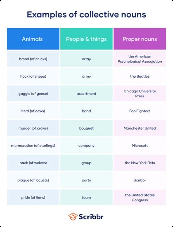 For example collective noun?