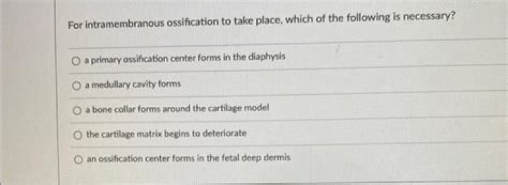 For intramembranous ossification to take place which of the following is necessary?