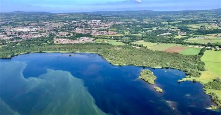Has anyone swam lough neagh?