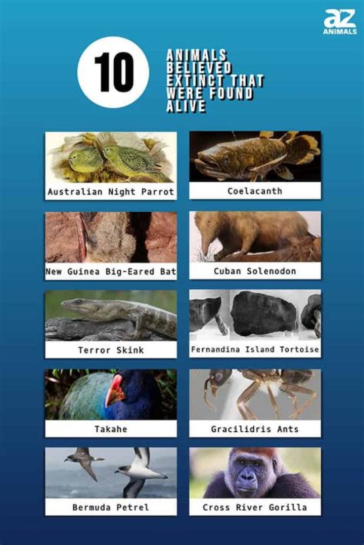 Has extinct or alive found any animals?
