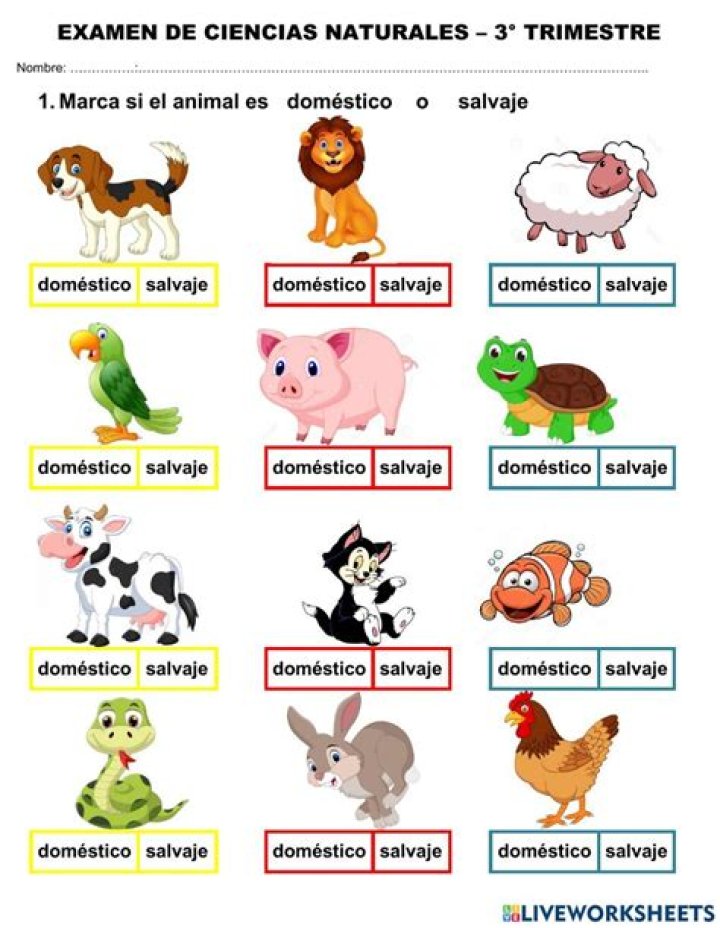 ¿Hay una aplicación para identificar animales? – Celebrity.fm