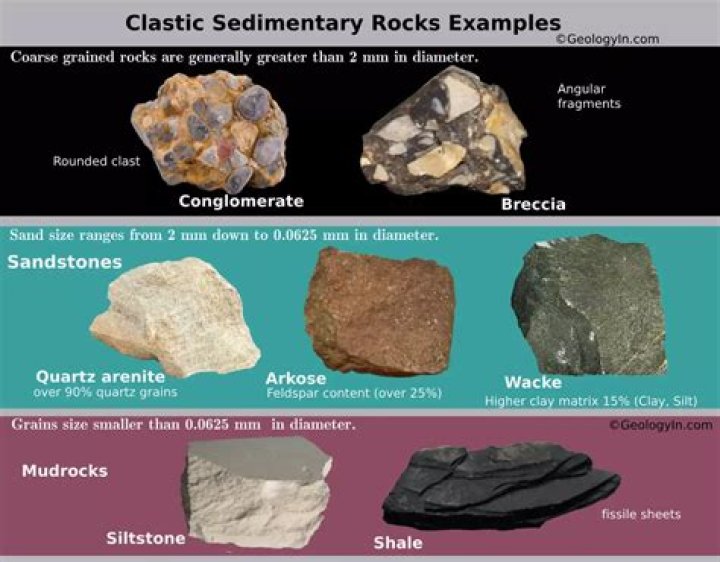 How are clastic and organic sedimentary rocks different?