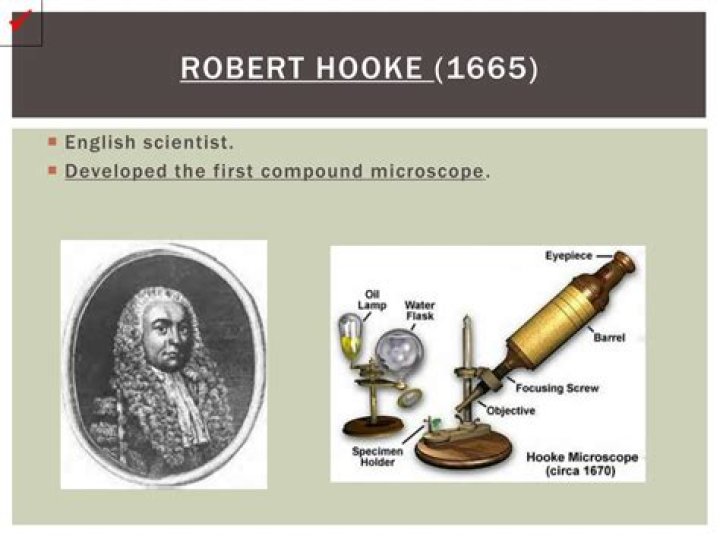 How did Robert Hooke invent the microscope?