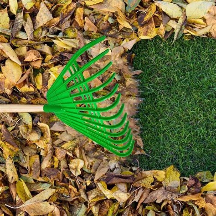 How do you rake small leaves?