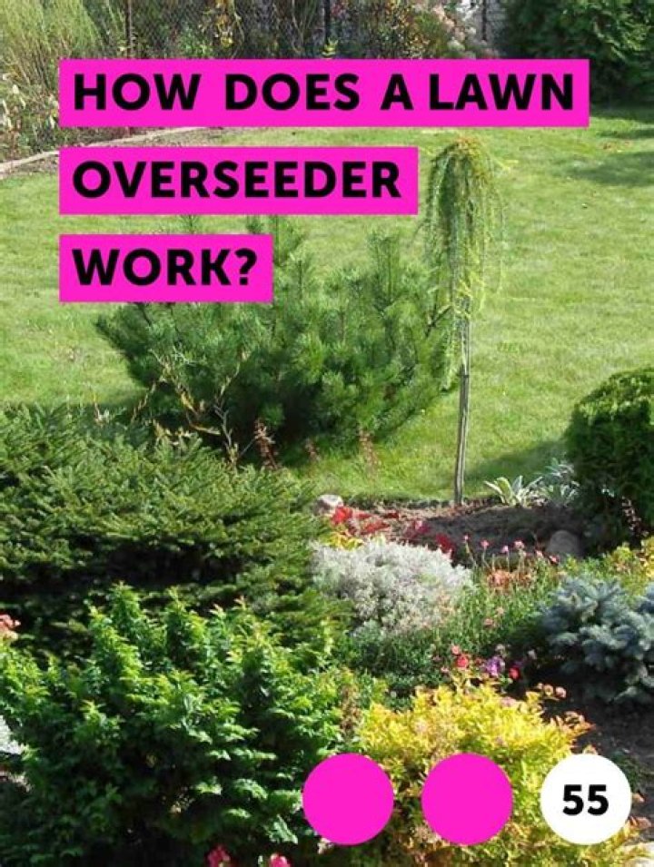 How does a lawn Overseeder work?